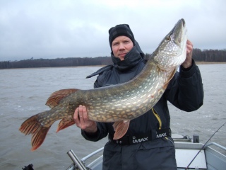 Hauki 10,10 kg