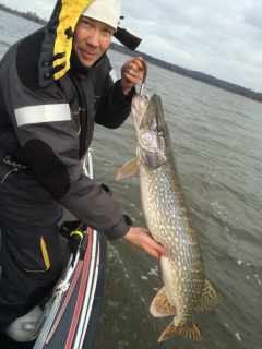 Hauki 6,40 kg