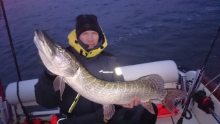 Hauki 5,80 kg