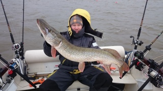 Hauki 7,18 kg
