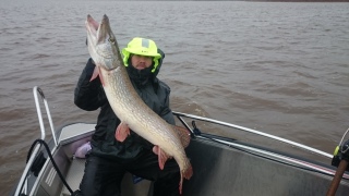Hauki 8,60 kg