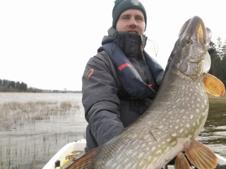 Hauki 7,50 kg