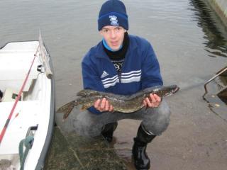Hauki 2,70 kg