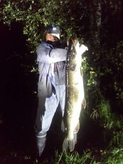 Hauki 10,62 kg