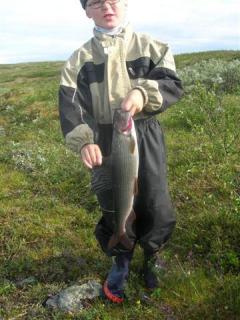 Harjus 500 g