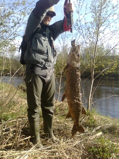 Hauki 11,10 kg