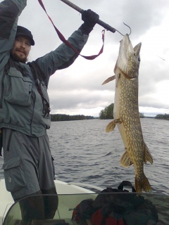 Hauki 10,30 kg