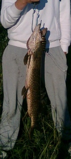 Hauki 3,70 kg