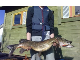 Hauki 8,20 kg