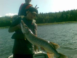 Hauki 4,88 kg