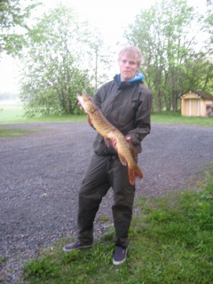 Hauki 3,40 kg