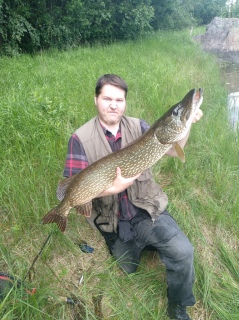 Hauki 9,10 kg