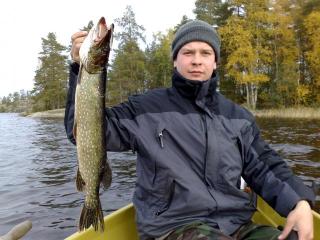 Hauki 1,80 kg