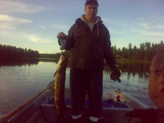 Hauki 4,20 kg