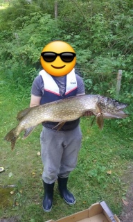 Hauki 7,40 kg