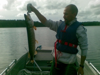 Hauki 3,50 kg