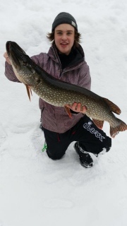 Hauki 7,26 kg