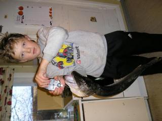 Hauki 2,00 kg