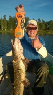 Hauki 3,46 kg