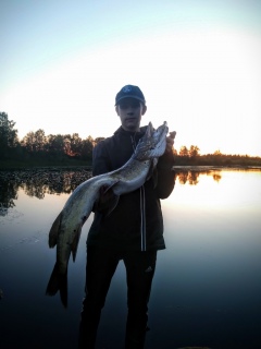Hauki 5,61 kg