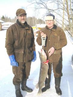 Hauki 6,60 kg