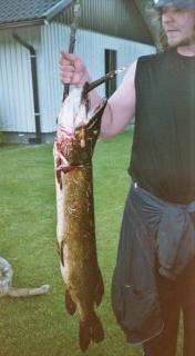 Hauki 9,20 kg
