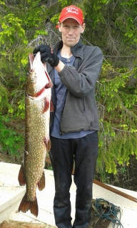 Hauki 7,26 kg