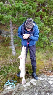 Hauki 6,60 kg