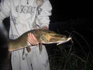 Hauki 4,20 kg