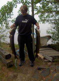 Hauki 7,75 kg