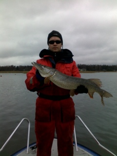 Hauki 4,28 kg