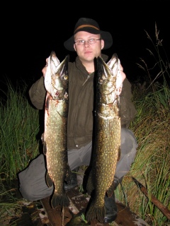 Hauki 3,51 kg