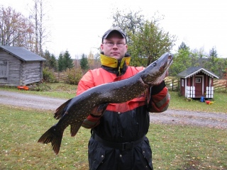 Hauki 4,26 kg