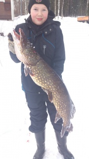 Hauki 8,30 kg