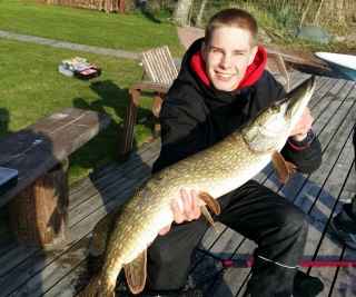 Hauki 4,50 kg