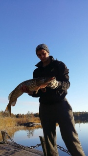 Hauki 4,20 kg