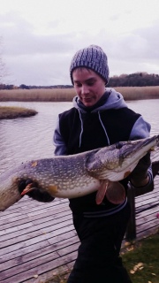 Hauki 8,33 kg