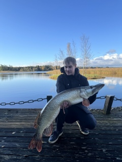 Hauki 9,50 kg