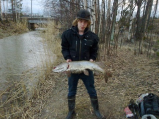 Hauki 6,20 kg