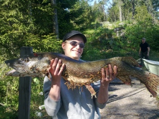 Hauki 8,00 kg