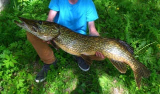 Hauki 9,20 kg