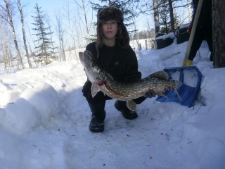 Hauki 3,53 kg