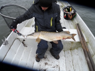 Hauki 5,30 kg