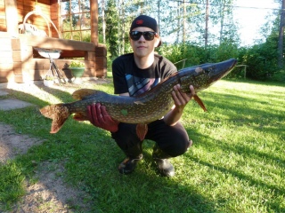 Hauki 6,10 kg