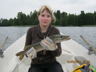 Hauki 1,25 kg
