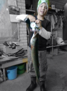 Hauki 4,00 kg