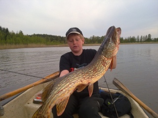 Hauki 7,50 kg