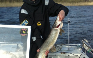 Hauki 3,70 kg