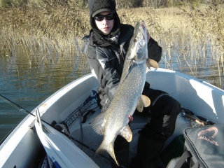 Hauki 4,60 kg