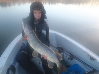 Hauki 6,00 kg
